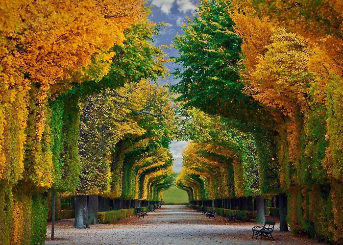 10 Min Walk To Schonbrunn L Deluxe Suite